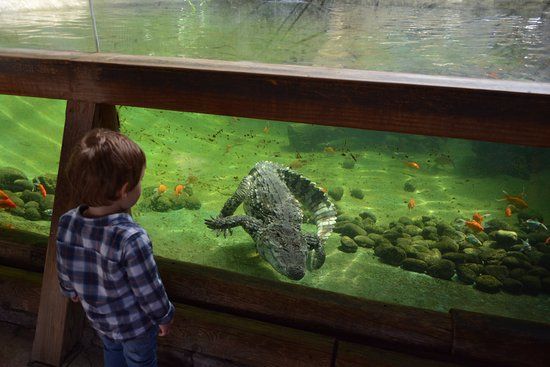 Terra Natura Benidorm